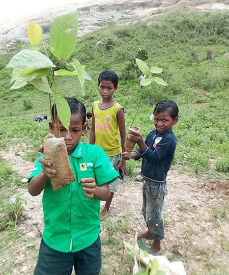 sido-kanhu-mission-plantation.jpg